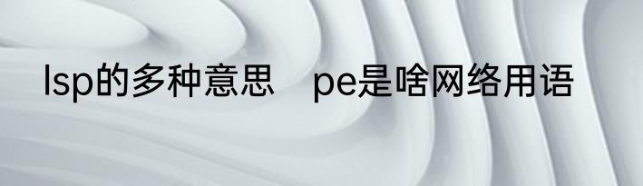lsp的多种意思　pe是啥网络用语