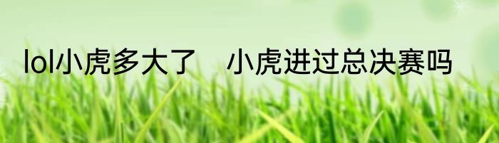lol小虎多大了　小虎进过总决赛吗