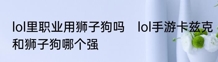 lol里职业用狮子狗吗　lol手游卡兹克和狮子狗哪个强