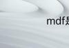 mdf是什么文件