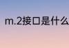 m.2接口是什么　两个m是什么符号