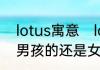 lotus寓意　lotus如果作为英文名是男孩的还是女孩的
