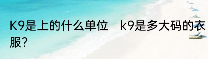 K9是上的什么单位　k9是多大码的衣服?