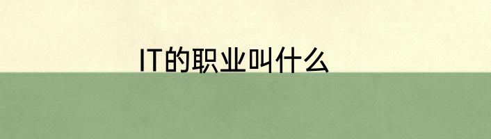 IT的职业叫什么