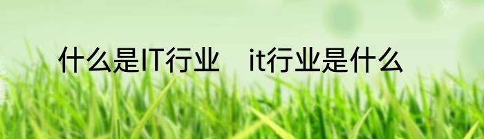 什么是IT行业　it行业是什么