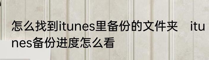 怎么找到itunes里备份的文件夹　itunes备份进度怎么看