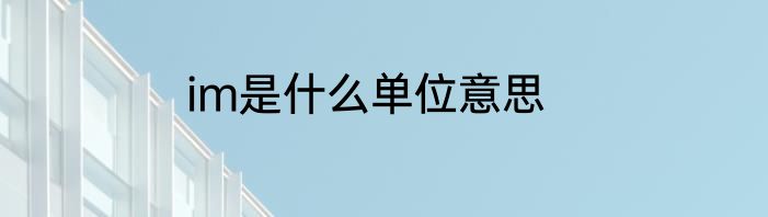 im是什么单位意思