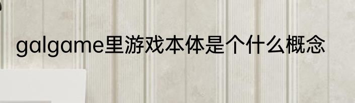 galgame里游戏本体是个什么概念