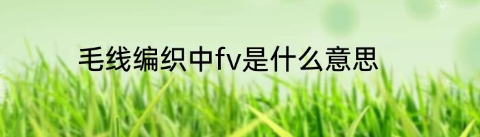 毛线编织中fv是什么意思
