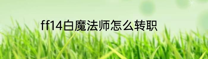 ff14白魔法师怎么转职