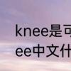 knee是可数名词吗　Touchyuorknee中文什么意