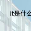 it是什么职业　IT是指什么职业