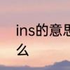 ins的意思和含义　网友说的ins是什么