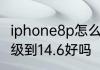 iphone8p怎么更新系统　iphone8升级到14.6好吗