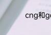 cng和gas有什么区别