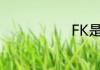 FK是什么意思