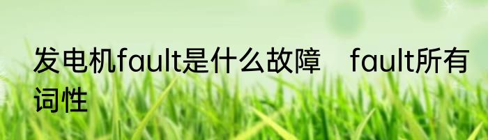 发电机fault是什么故障　fault所有词性