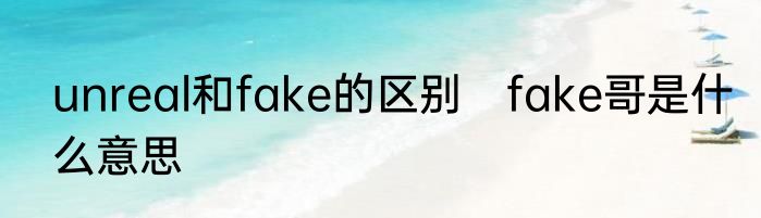 unreal和fake的区别　fake哥是什么意思