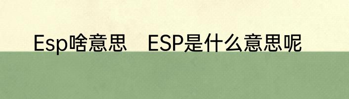 Esp啥意思　ESP是什么意思呢