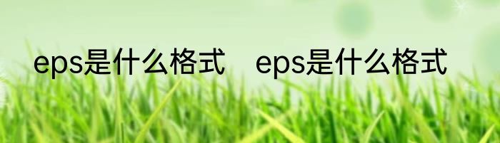eps是什么格式　eps是什么格式