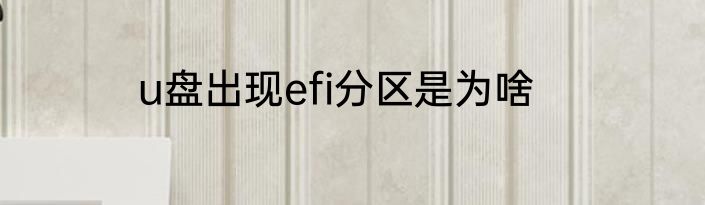 u盘出现efi分区是为啥