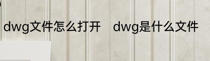 dwg文件怎么打开　dwg是什么文件