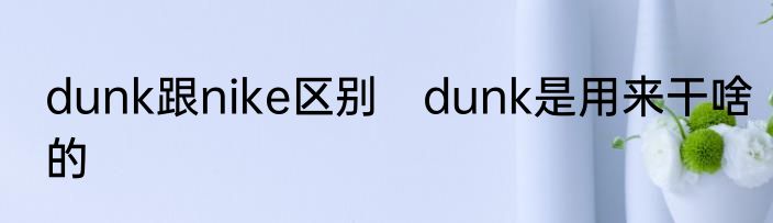 dunk跟nike区别　dunk是用来干啥的