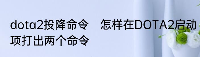 dota2投降命令　怎样在DOTA2启动项打出两个命令