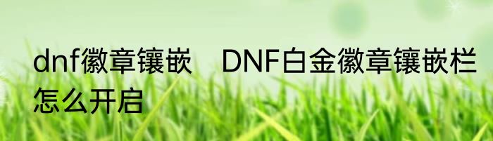 dnf徽章镶嵌　DNF白金徽章镶嵌栏怎么开启