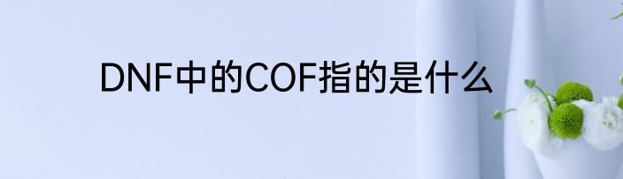 DNF中的COF指的是什么