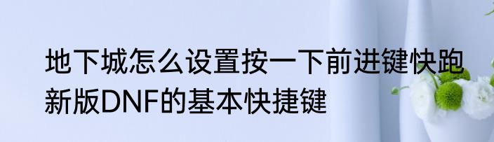 地下城怎么设置按一下前进键快跑　新版DNF的基本快捷键