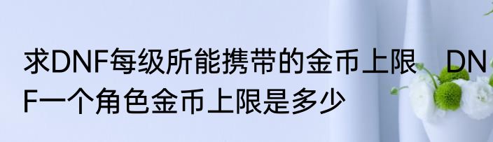 求DNF每级所能携带的金币上限　DNF一个角色金币上限是多少