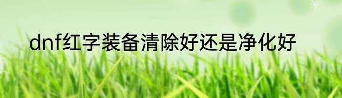 dnf红字装备清除好还是净化好