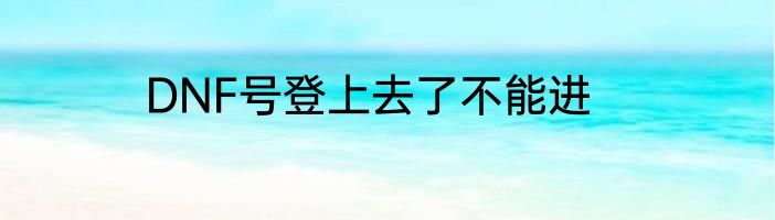 DNF号登上去了不能进