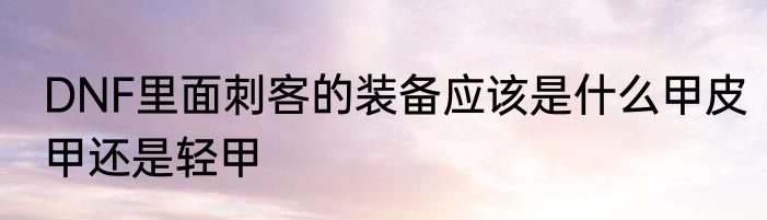 DNF里面刺客的装备应该是什么甲皮甲还是轻甲