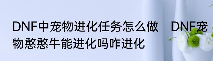DNF中宠物进化任务怎么做　DNF宠物憨憨牛能进化吗咋进化