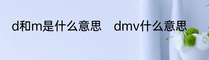 d和m是什么意思　dmv什么意思