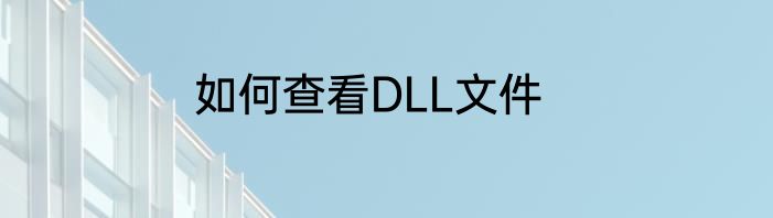 如何查看DLL文件