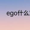 ego什么意思　英语ego什么意思