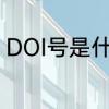 DOI号是什么意思　doiis是什么意思