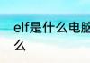 elf是什么电脑应用　ELF的含义是什么