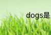 dogs是男生还是女生
