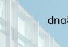 dna和基因区别