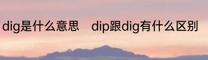 dig是什么意思　dip跟dig有什么区别