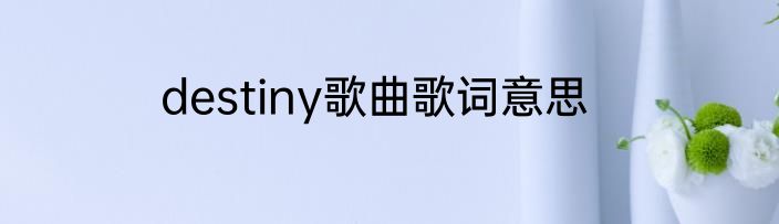 destiny歌曲歌词意思