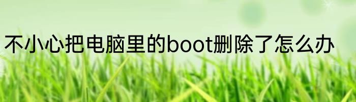 不小心把电脑里的boot删除了怎么办