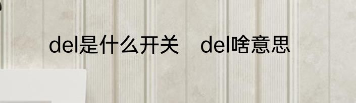 del是什么开关　del啥意思