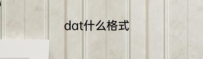 dat什么格式