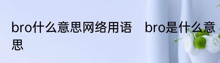 bro什么意思网络用语　bro是什么意思