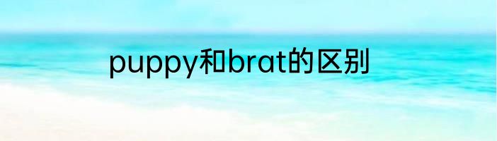 puppy和brat的区别